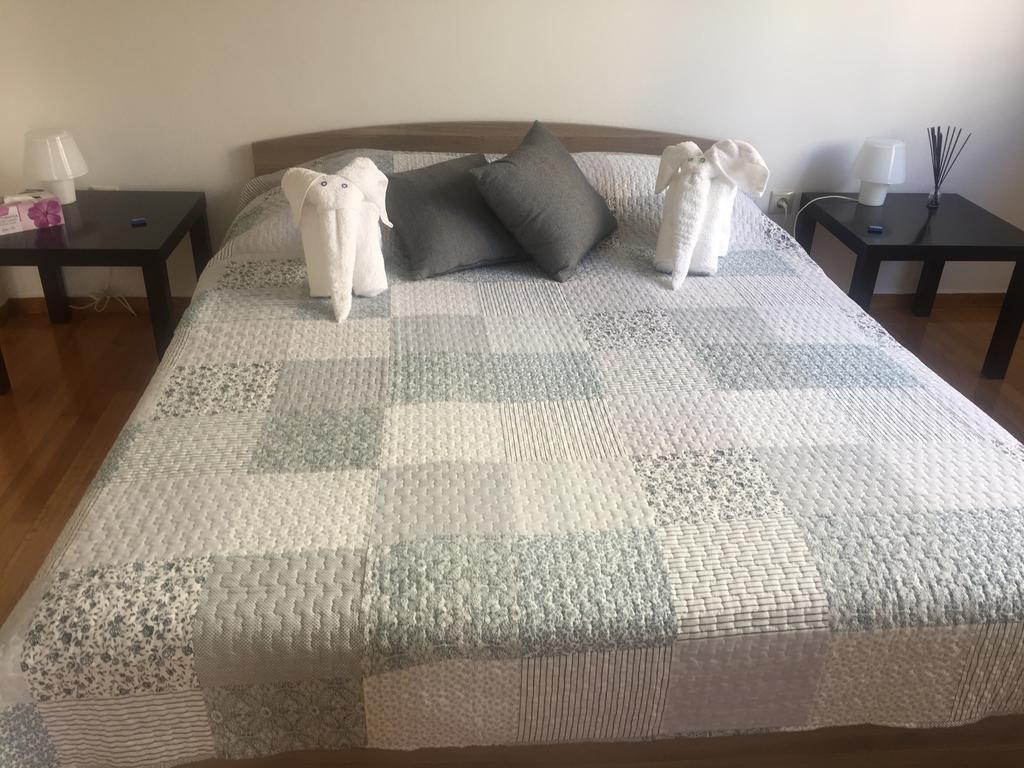 Central 5 Room Apartment アテネ エクステリア 写真